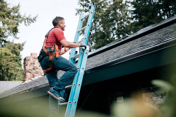 Best Roof Moss and Algae Removal  in Richland, PA